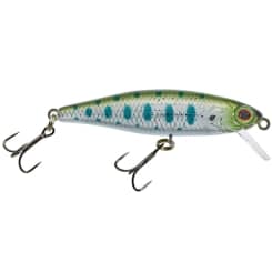 Salmo Rattlin Hornet Lure Sexy Shad SS buy by Koeder Laden