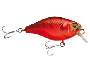 Illex Lure Tiny Fry 38 SP HL Gold Trout buy by Koeder Laden