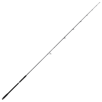 Bullseye Dentist Fishing Rod Spin 3,00m 50-165g