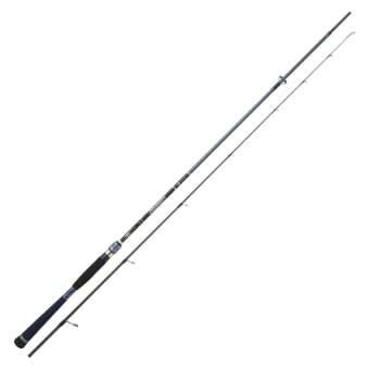 Hearty Rise Divinity Spinning Rod 2,60m 10-45g