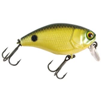 Illex Lure Cherry One Footter Limited Edition Noike Green Back