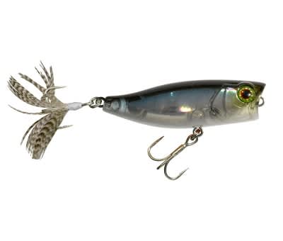 Illex Lure Chubby Popper 42 NF Ablette 