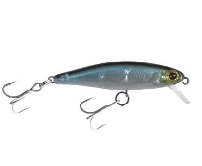 Illex Lure Tiny Fry 38 SP NF Ablette 