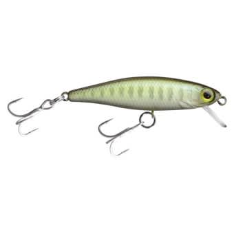 Illex Lure Tiny Fry 50 SP Native Brown Trout 