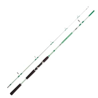 Jenzi Fishing Rood Solid Pro 30-80g 2,40m