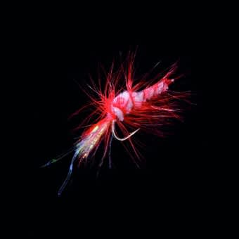 Jenzi Dega Shrimp-Fly By-catcher Red Silver #3/0