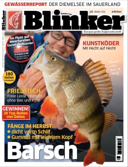Blinker Zeitschrift 11-2015 November mit DVD 