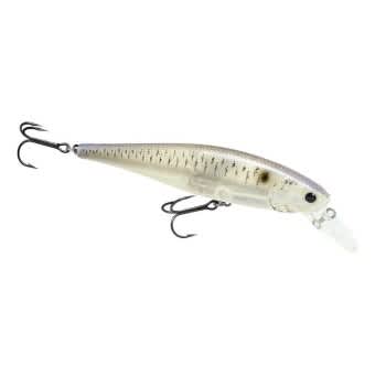 Lucky Craft B'Freeze 100 SP Pointer Lure 18g Live Striped Shad