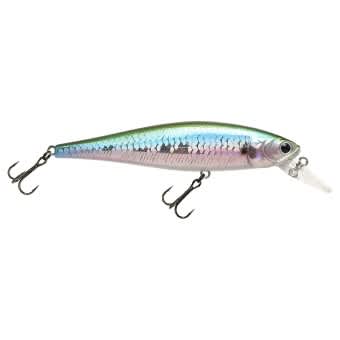 Lucky Craft SW B'Freeze Pointer 100S Lure Green Herring