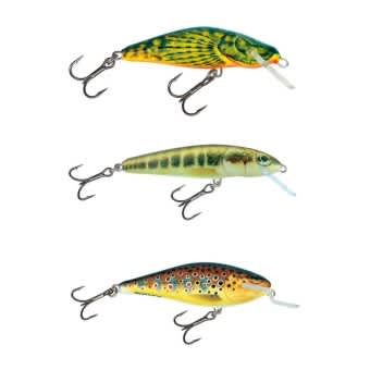 Salmo lures Trout Discovery Pack Executor/Minnow/Bullhead 