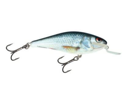 Salmo Executor Lure Shallow Runner RD Real Dace 5cm