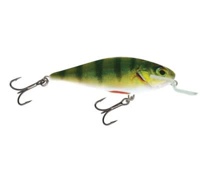 Salmo Executor Lure Shallow Runner RPH Real Perch 