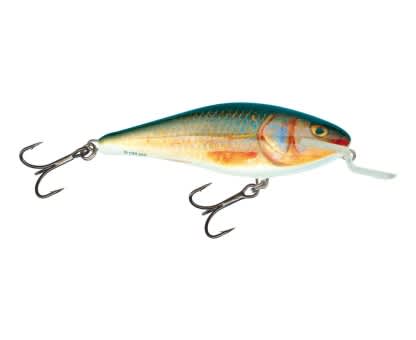Salmo Executor Lure Shallow Runner RR Real Roach 