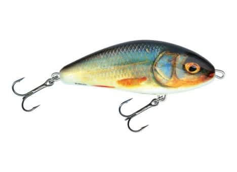 Salmo Fatso lure pullbait RR real roach 10cm floating