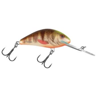 Salmo Hornet Crankbait 6cm floating Spotted Brown Perch