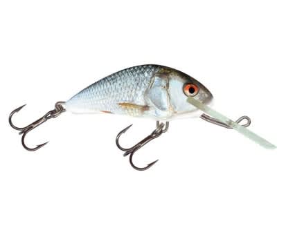 Salmo Hornet Wobbler hasel real dace RD  schwimmend 3,5cm - 2,2g