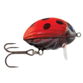 Salmo Lure Lil Bug 2cm 2.8g Ladybird