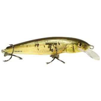 Salmo Minnow Lure Crankbait WOD Wounded Dace 5cm floating