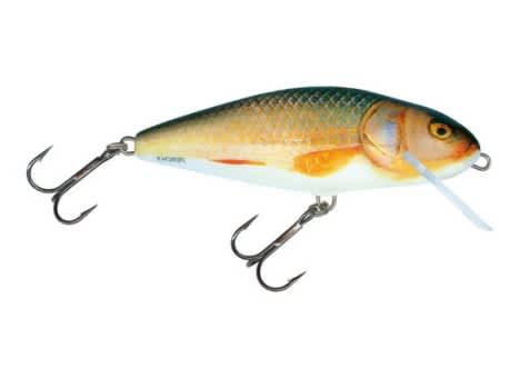 Salmo Perch lure real roach RR floating 12cm 36g
