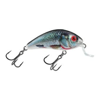 Salmo Lure Rattlin Hornet Shallow Holo Real Dace 