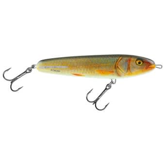 Salmo Sweeper Lure 12cm sinking Ltd. Edition Real Roach