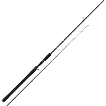 Salmo Baitcasting rod Trollmaster 240cm 40-60g 