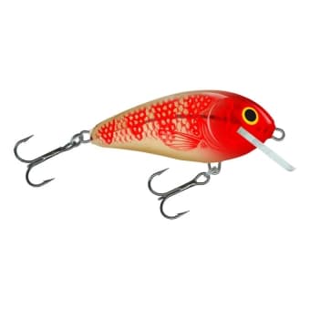 Salmo Butcher Lure 5cm 5g floating Golden Red Head GRH