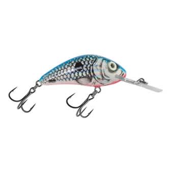 Salmo Rattlin Hornet Lure Silver Blue Shad SBS floating 3,5cm 3g