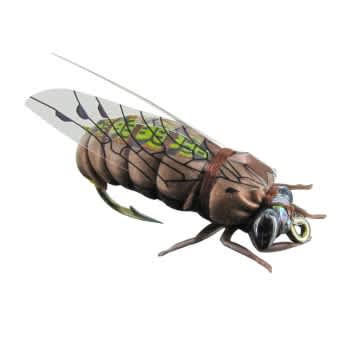 Jenzi Insektenimitate L 4Stk. Fliege Käfer Raupe Hornisse 