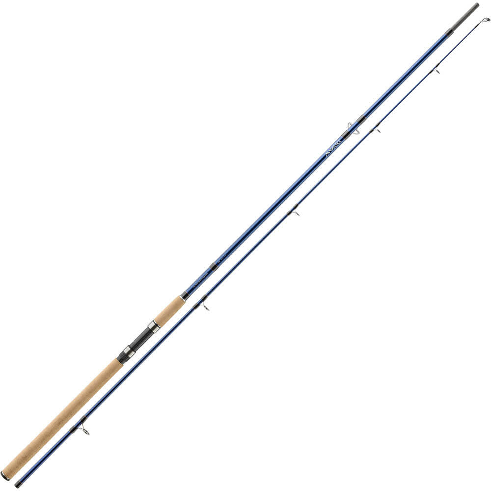 Balzer-Diabolo SPIN 45/2015/steckrute 3,00m 10 45g WG 