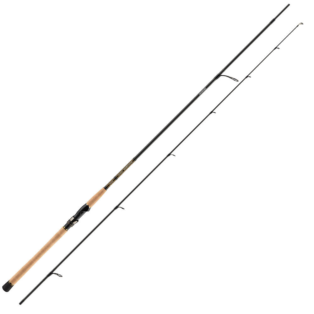 Daiwa SLJ Catarina BJ AP Fishing Rod (Air Portable) 60LS-METAL Fishing Rod