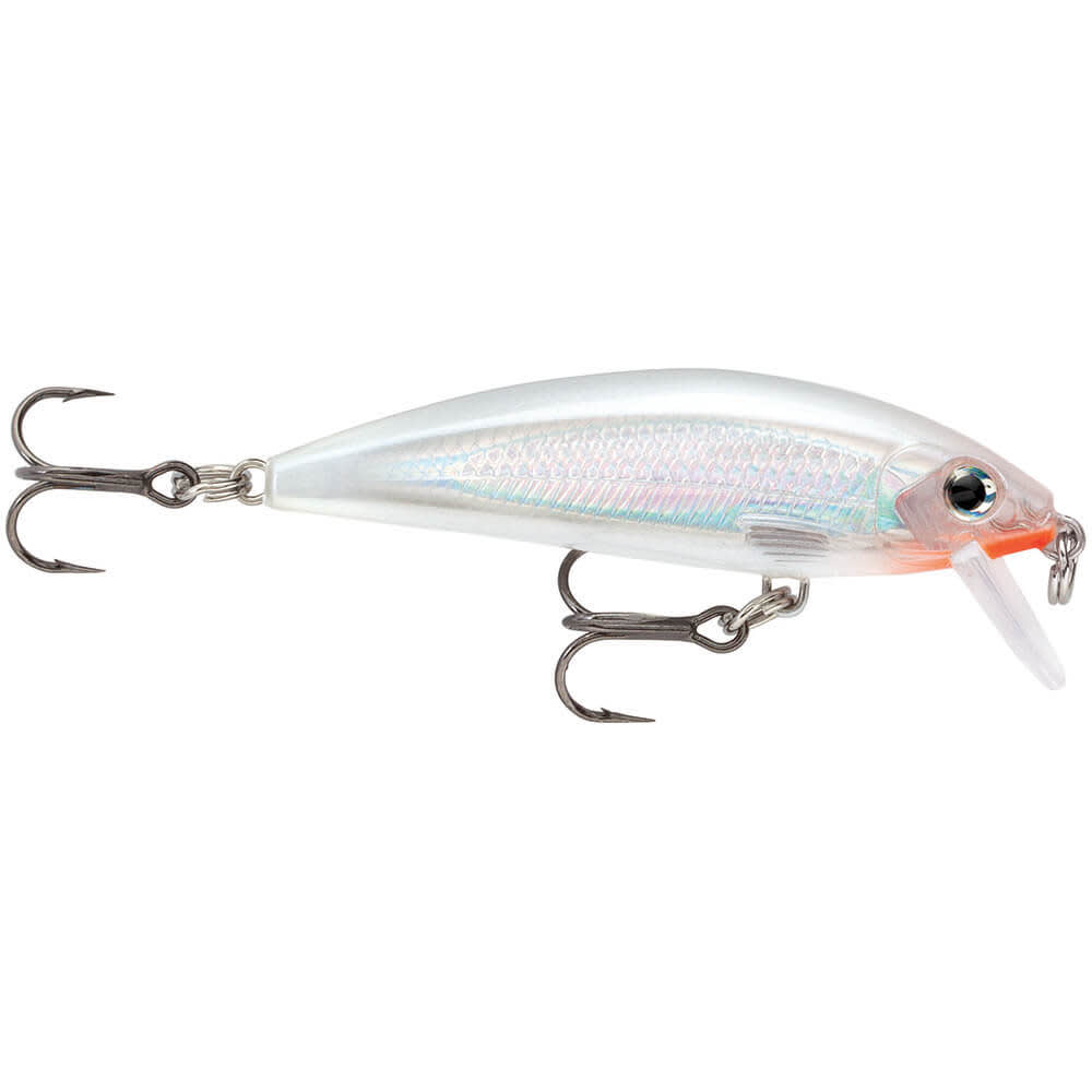 https://koeder-laden.mo.cloudinary.net/out/pictures/master/product/1/rapala-x-rap-countdown-ggh-glass-ghost-.jpg