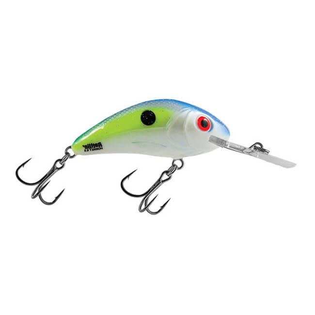 Salmo Rattlin Hornet Lure Sexy Shad SS buy by Koeder Laden