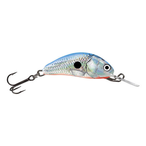 color SALMO HORNET S SINKING 5 cm SWS Silver White Shad 